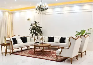 Classical Lite Carving Luxury Sofa Set