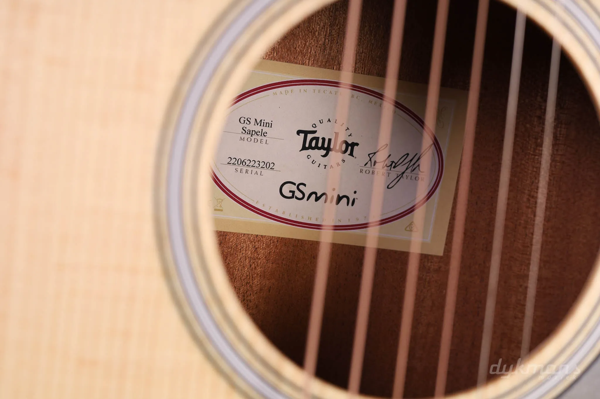 Taylor GS MINI Sapele